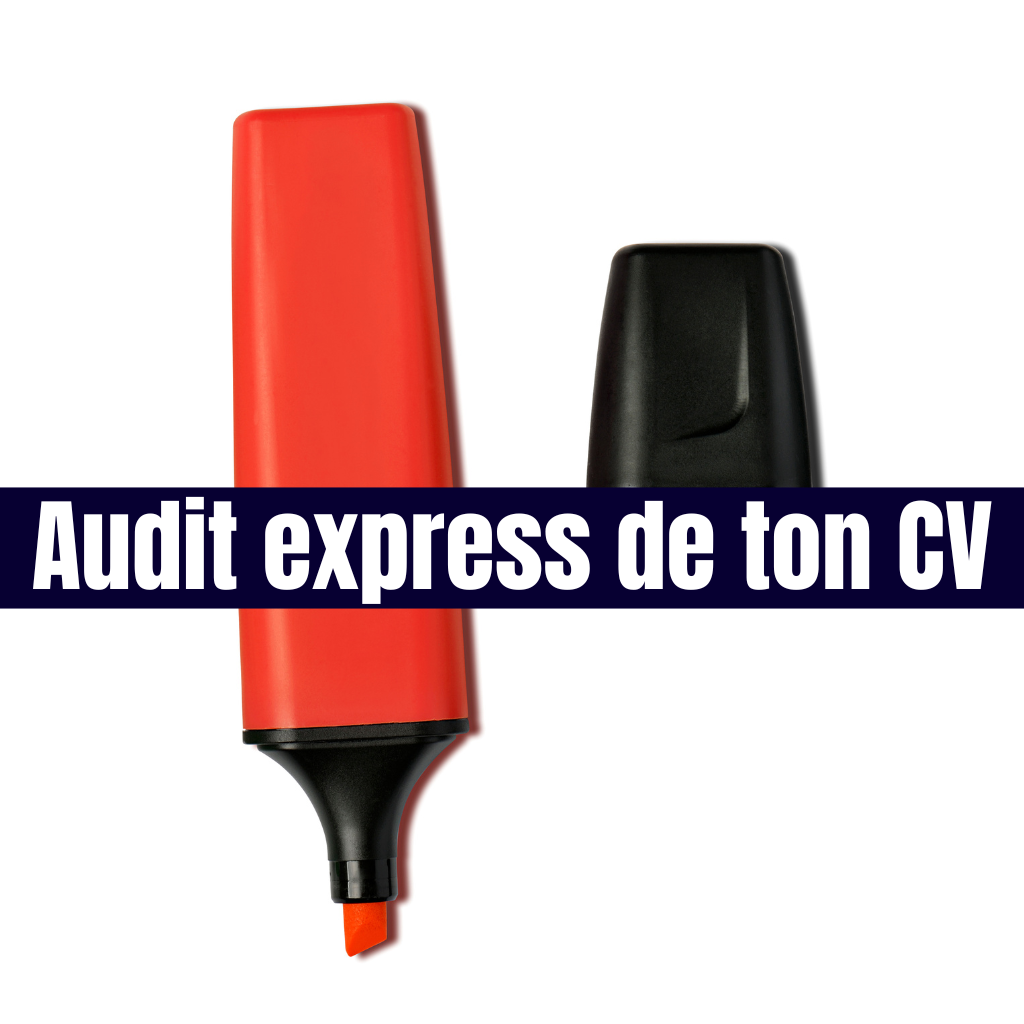 Audit de ton CV